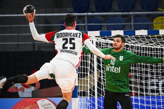 Koronavirusas palaužė pasaulio rankinio pirmenybių naujokus: aikštėje nepasirodė