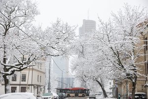 Viešojo transporto pokyčiai Vilniuje – kursuos dažniau