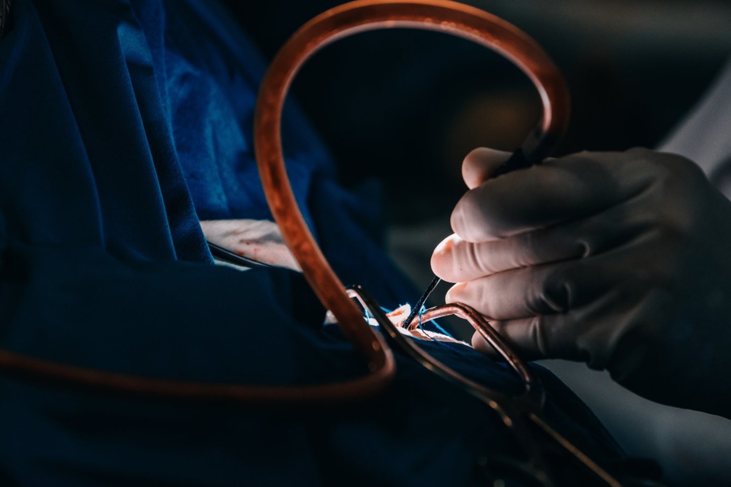 Praėjusios savaitės pabaigoje registruotas jau trečiasis šiais metais donoras, kurio įvairūs organai gyvybę išgelbės net keliems žmonėms.<br>Kauno klinikų nuotr.