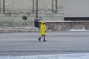 Jau siūloma paruošti karantino atlaisvinimo planą: ypatingas dėmesys – moksleiviams ir vienišiems žmonėms