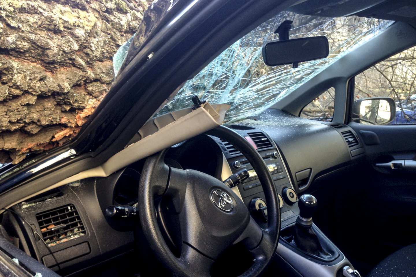 Ant automobilio užkritus medžio šakai.<br>V.Ščiavinsko nuotr.