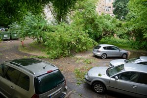 Draudikai įrodė – nuostolius dėl apgadinto automobilio privalo prisiimti sostinės valdžia