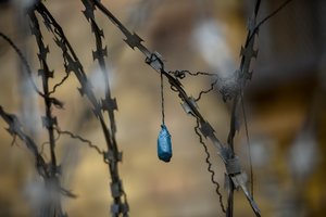 Teismas atmetė iki gyvos galvos nuteisto žudiko prašymą sutrumpinti bausmę