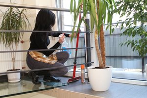 A. Armonaitė: savarankiškai dirbantiems planuojama subsidija, kuri būtų siejama su sumokėtu GPM