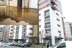 Vilniaus daugiabučio garažai skęsta išmatose, namuose – smarvė: žmonės kenčia 7 metus 