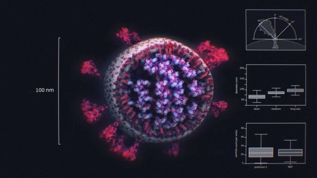 Austrijos dizaino laboratorija pavaizdavo, kaip iš tikrųjų atrodo koronavirusas