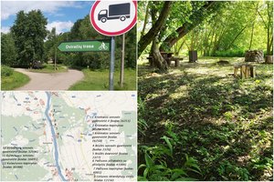 Kauno rajono taryba pasipriešino verslo užmojams kasti žvyrą šalia kurortinės teritorijos