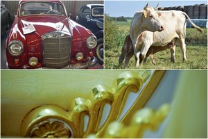 2020-ųjų turto areštai: veislinės karvės, aukso luitai, kriptovaliuta ir dar kai kas neįtikėtino