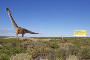 Patagonijoje atrastos bene didžiausio žinomo dinozauro liekanos