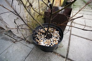 Nesikeičia nei įpročiai, nei nuostatos – taupo toliau plėšdami kontrabandines cigaretes 