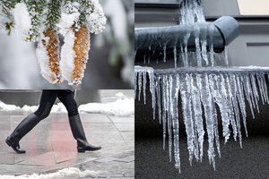 Prasidėjus atlydžiui – klimatologo žinia: kokia bus likusi žiema