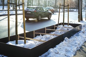 Patys sodino, patys naikina: sniegą nuo gatvių sumetė į medžių aptvarus