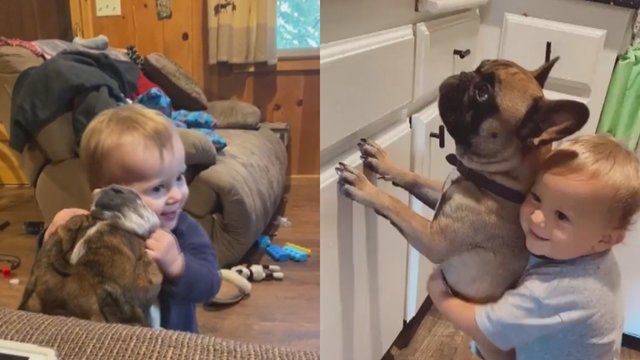 Tūkstančius širdžių ištirpdęs vaizdo įrašas: berniukas ir jo šuo tiesiog neišskiriami