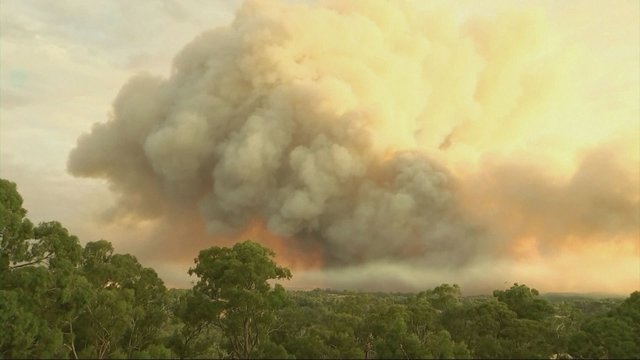 Australijos pietryčius siaubė krūmynų gaisrai: gyventojai skatinami išlaikyti budrumą