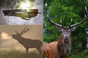 Už du nušautus elnių patinus brakonieriui iš Kaišiadorių r. teks atlyginti daugiau nei 12 tūkst. eurų