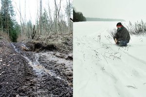 Piktadariai keturračiais niokoja ir ūkininkų pasėlius, ir regioninius parkus: policija prašo žmonių nekentėti