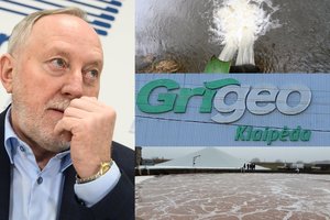 „Grigeo Klaipėda“ – 48 mln. eurų civilinis ieškinys dėl aplinkai padarytos žalos