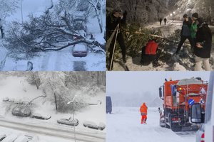Vaizdai iš Lietuvą nusiaubusios stichijos: medžiai traiškė automobilius, žalojo žmones, klimpo gelbėtojų technika