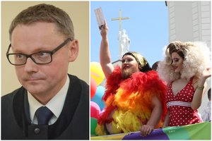 V. Čmilytė-Nielsen konservatorius stumia į kampą: Konstitucijos sargu siūlo LGBT gynėją