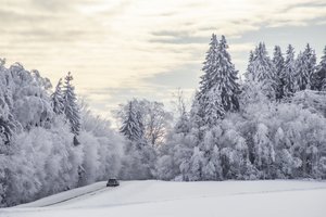 Elektros nesulaukiančio dzūko šauksmas: atvežkit į mūsų kaimą kokį generatorių arba žvakių!