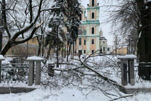 Vaizdai sostinės centre kelia pyktį: nuvirtusių medžių sutvarkyti nesugeba jau tris paras