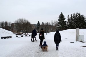 Druska barstomi parkų takai virsta purvyne ir kelia pavojų ne tik žmonėms – specialistai pasiūlė išbandytą išeitį