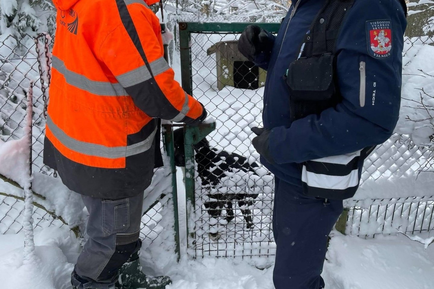  Vilniuje konfiskuotas išbadėjęs šuniukas, kurį šeimininkai badu marino ne pirmą kartą.<br> ggi.lt nuotr.