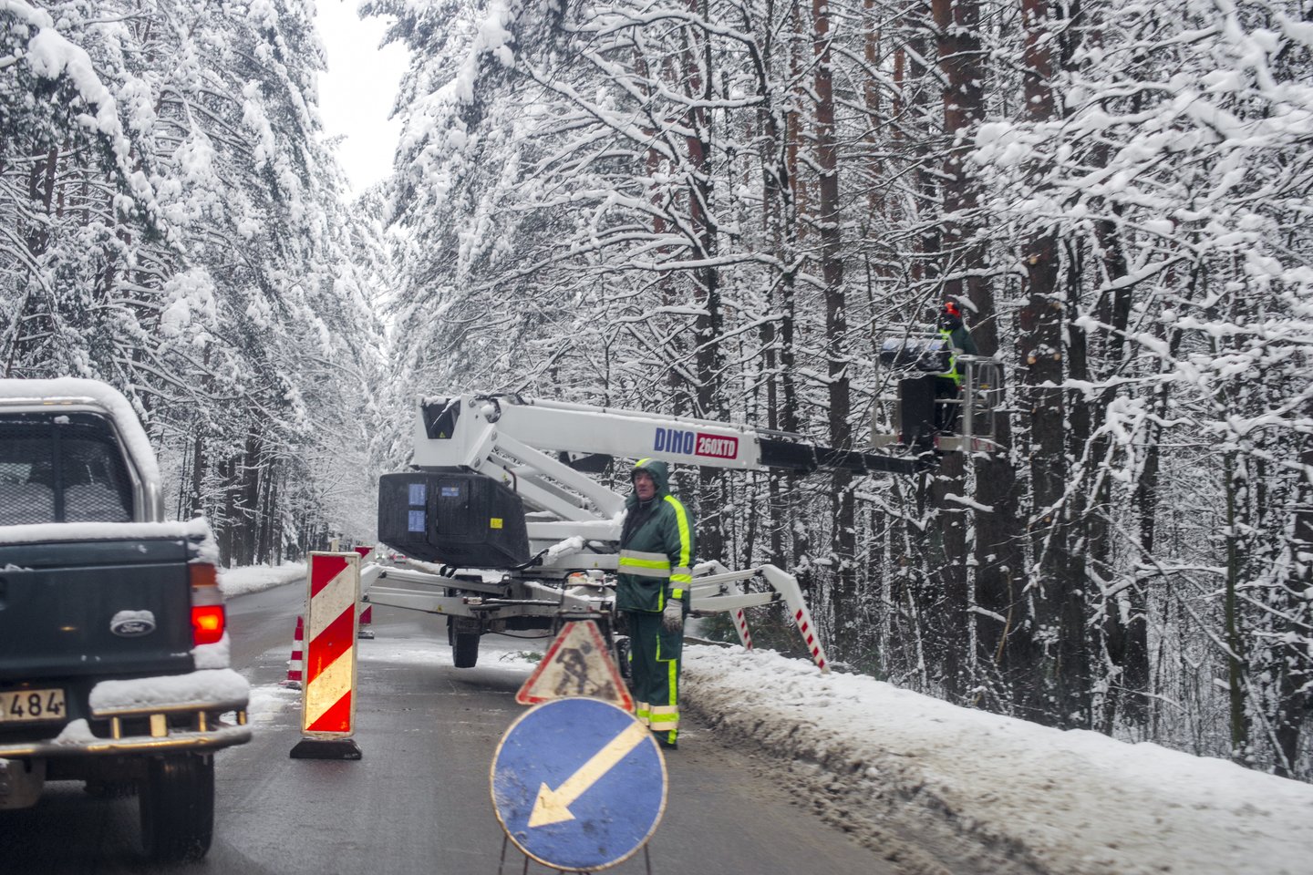 ESO skaičiavimu, medžių šalinimas galėtų kainuoti 50-60 mln. eurų, kai visų oro linijų pakeitimas požeminėmis kainuotų 2,5 mlrd. eurų.