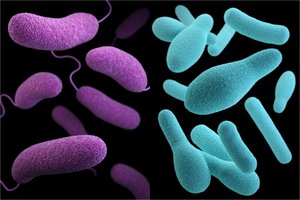 Žiema – šeimose greitai plintančių virusinių žarnyno infekcijų sezonas