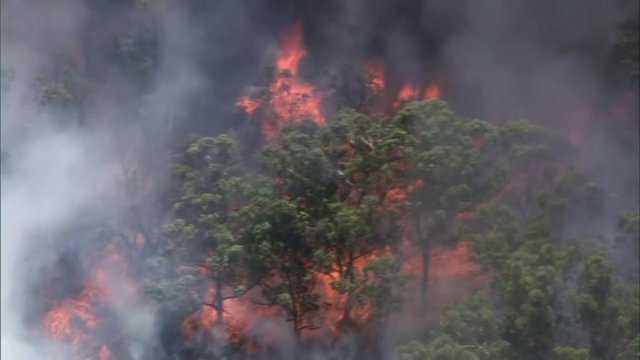 Australijoje siaučia krūmynų gaisrai: gyventojai įspėjami – išvykti jau per vėlu