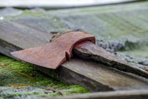 Prieš teismą stos savo motiną kirviu užkapojęs vyras – kaltę neigia