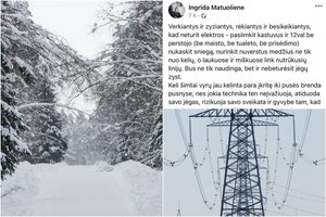 Žmones įkalinęs snygis apnuogino elektros tiekėjų požiūrį: liepė nustoti zyzti, o tada atsiprašinėjo