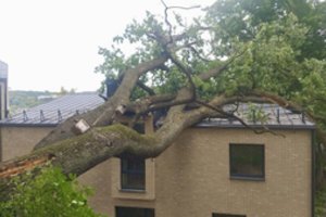 Gamtos stichijos įrodė – neturint draudimo tenka plačiai atverti pinigines