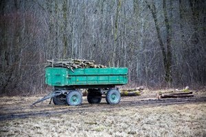 Sukčiai apgauna net ir apdairiausius – pričiupti juos itin sudėtinga