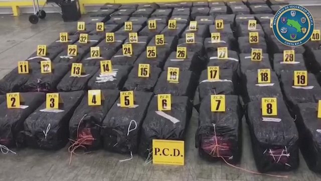 Sulaikyta milžiniška 2 tonų kokaino kontrabanda, turėjusi pasiekti Belgiją: slėpė ananasų krovinyje