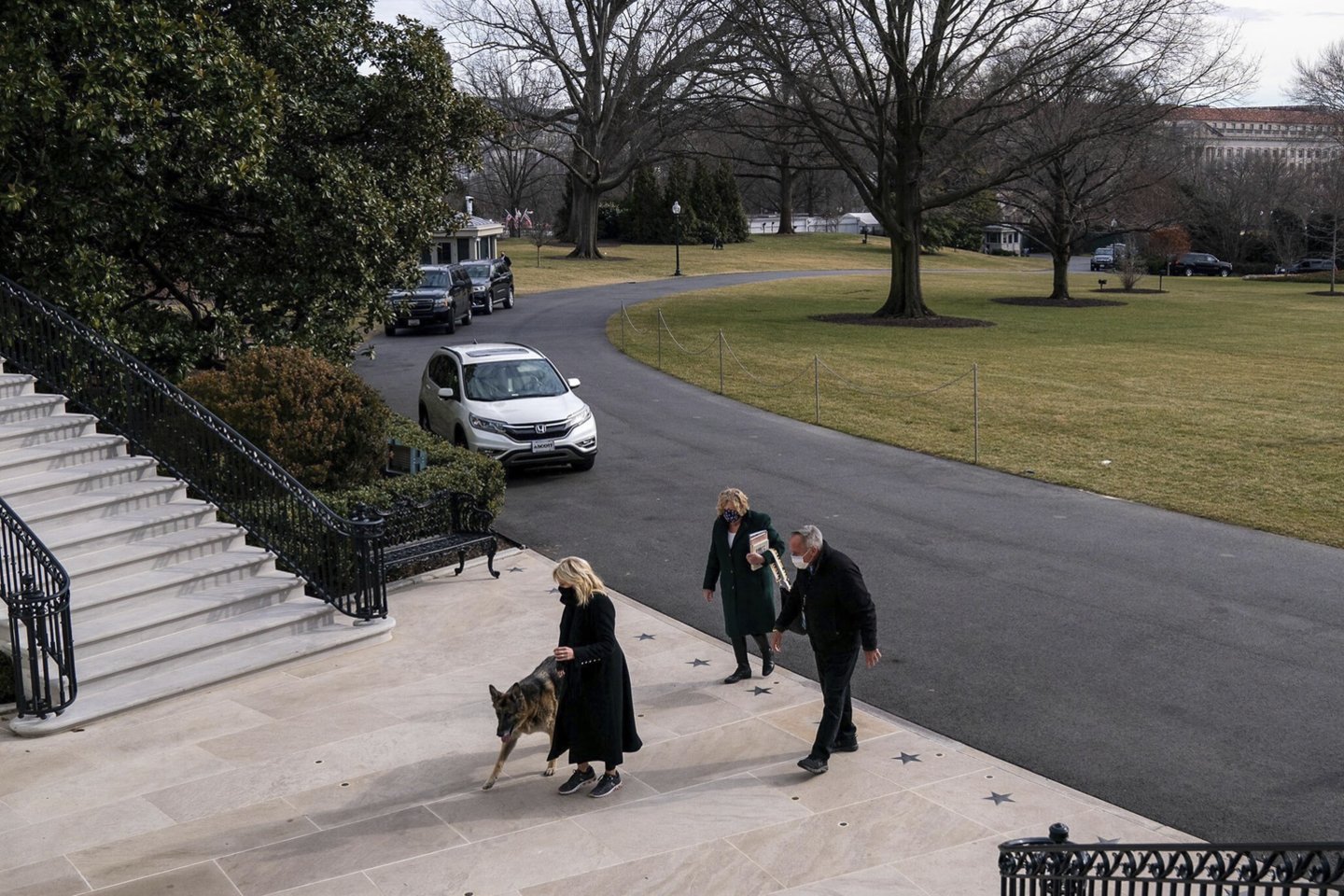 Jungtinių Valstijų prezidento Joe Bideno (78 m.) šunys Champas ir Majoras atsikraustė į Baltuosius rūmus.<br>ZUMAPRESS.com/Scanpix nuotr.
