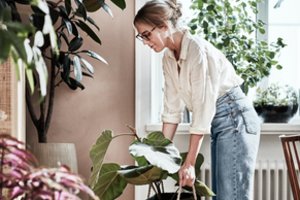 Mažas pokytis namuose kainuos vos kelis eurus – rezultatas nustebins