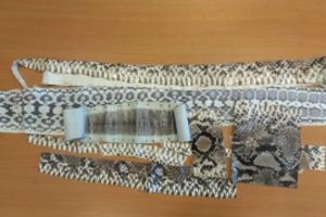 Įtartiną asmenį internete pastebėję pareigūnai surengė pasalą: bandė parduoti draudžiamą egzotinę prekę