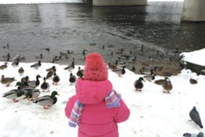 Kaip gyveno Lietuva per savaitę: nuo Visagino iki pajūrio