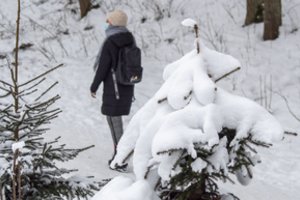 Kaunietis jau 16 kartų pranešė apie žmones be kaukių parkuose ir stebisi policijos reakcija