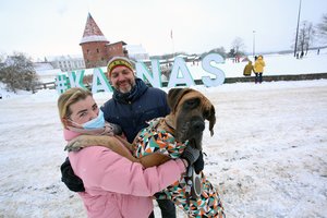 Įspūdingo šuns šeimininkai sulaukia netikėčiausių reakcijų – Lietuvoje tokių keturkojų yra tik apie penkiolika
