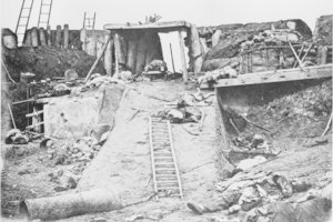 Civilizaciją pakeitęs opijaus karas: Kinija gavo suprasti, kad nebėra pasaulio centrinė galia