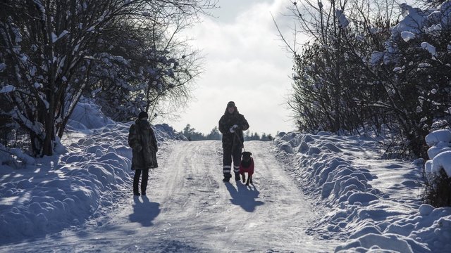 Sinoptikai: į Lietuvą atkeliauja dar viena sniego dozė – kils pūga
