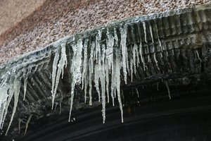 Varvekliai pavojingi ne tik gyvybei, bet ir piniginei – nepašalinus jų gresia įspūdingos baudos