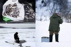 Užsivėrę stintautojų rojaus vartai: jei nebūtų judėjimo ribojimų, į Neringą suplūstų visa Lietuva