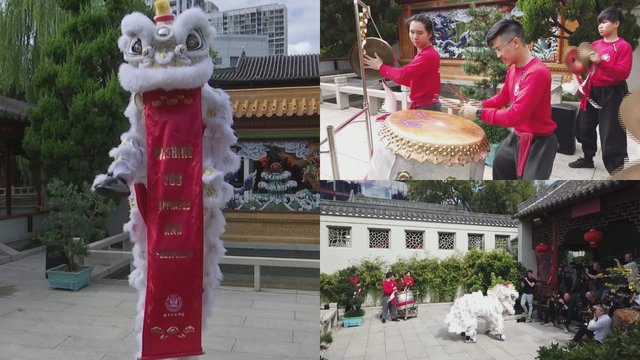 Sidnėjuje prasideda Kinų Naujųjų metų sutiktuvės: kelias savaites vyks festivaliai
