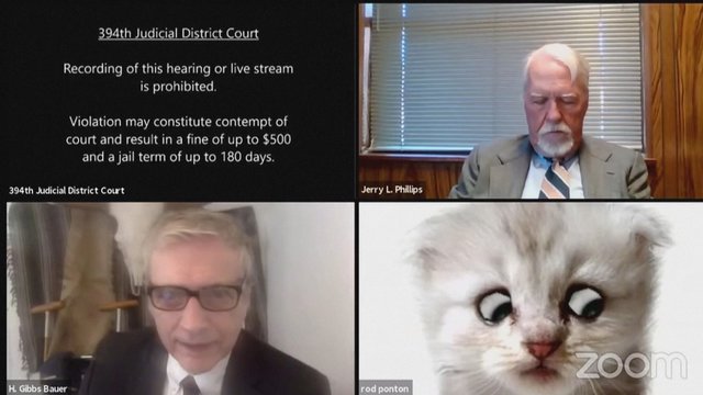 Akibrokštas virtualiame teismo posėdyje: advokato video filtras sukėlė sumaištį