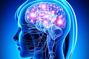 „Kur mygtukas?“ Mokslininkai smegenyse rado sąmonės „jungiklį“