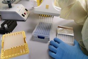 Startuoja pirmieji plataus masto tyrimai koronaviruso mutacijoms Lietuvoje nustatyti