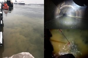 Aplinkosaugininkai neranda, kas paleido srutas į Kuršių marias, nors tarša viršija normas